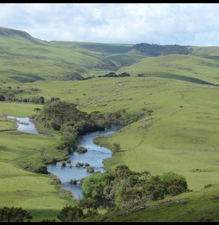 LES «BAFULIRU» ET LES «BAVIRA»: SONT-ILS EPONYMES OU TOTEMIQUES ?